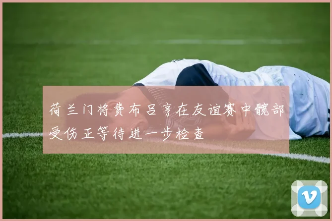 荷兰门将费布吕亨在友谊赛中髋部受伤正等待进一步检查
